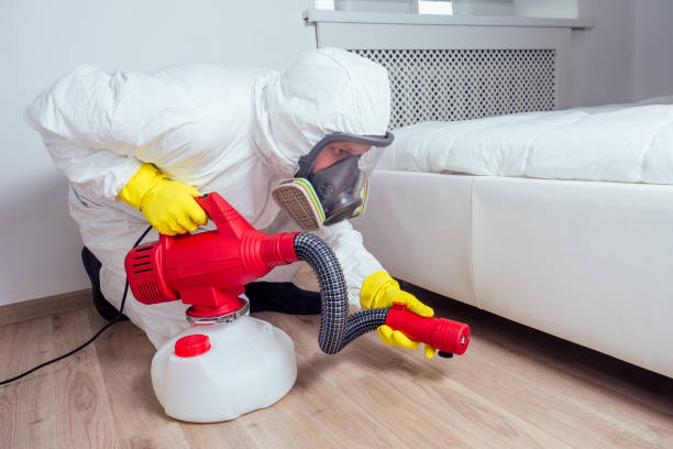 Professional Pest Control in Sultana, CA